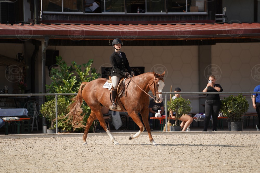 s_A_908972.JPG